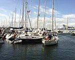 Ikke kun Bo Larsen lægger vejen forbi Østerby Havn i sommerferien. Foto: Bo Larsen Ikke kun Bo Larsen lægger vejen forbi Østerby Havn i sommerferien. Foto: Bo Larsen
