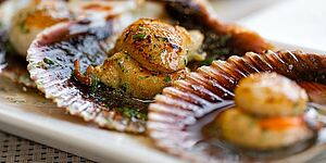 ????????????????????????????????????????